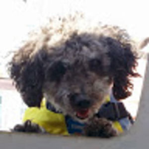 Meet your Posher, Ellie